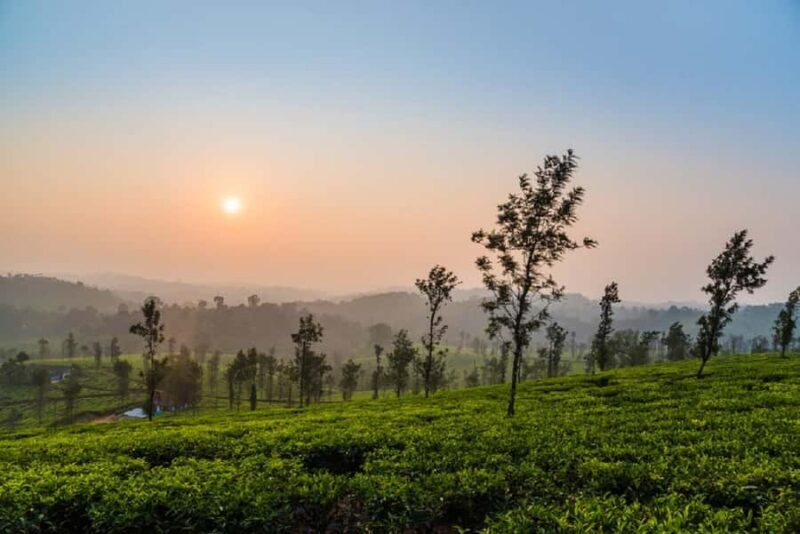 Explore Old Madikeri (Coorg): Guided Walking Tour by Foot - Why This Tour Is Worth It