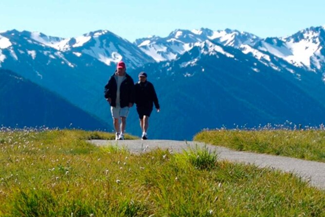 Explore Olympic National Park From Seattle Through Van /Ferry - Tour Overview Highlights
