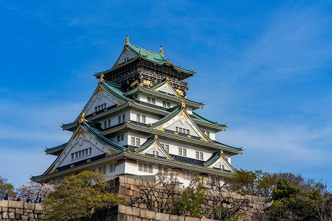 Explore Osaka Hotspots in 1 Day Walking Tour From Osaka - Cancellation Policy