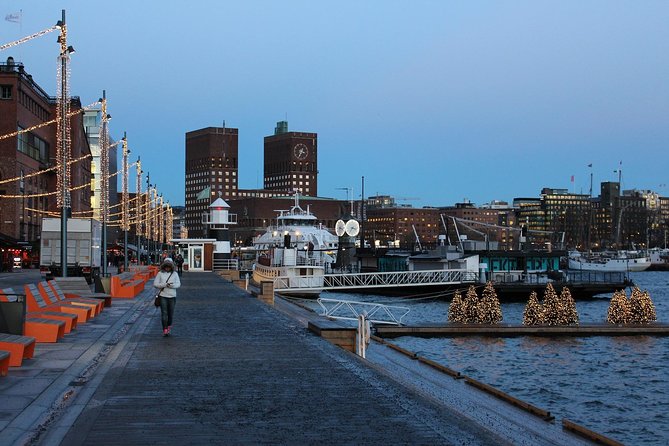 Explore Oslo in 1 Hour With a Local - Street Art and Historic Buildings