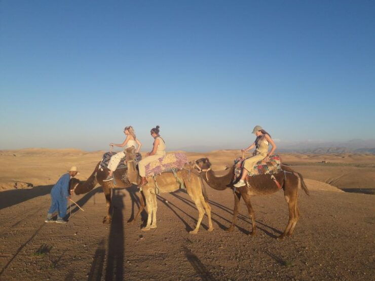 Explore Ourika Valley & Waterfalls - Booking Details