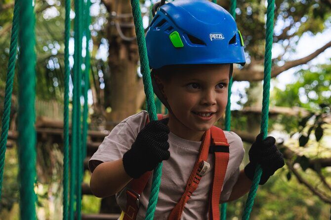 Explore Ourimbah State Forest Junior Tree Ropes Course - Who Should Consider This Tour?