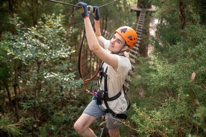 Explore Ourimbah State Forest Tree Ropes Course - An In-Depth Look at the Ourimbah State Forest Tree Ropes Course