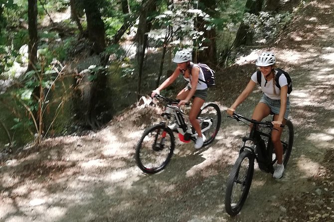 Explore Paphos Forest With E-Mountain Bikes - Tour Highlights