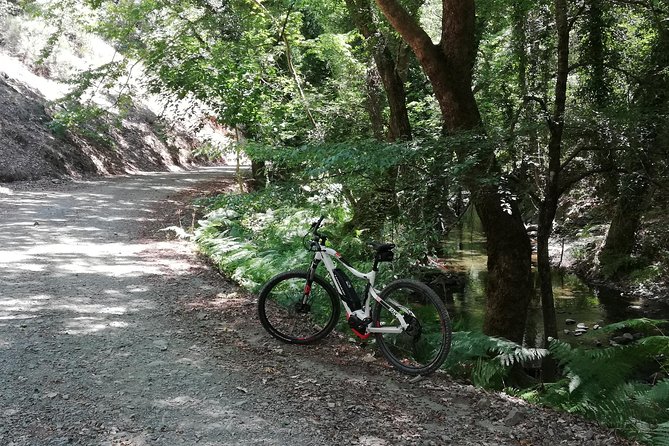 Explore Paphos Forest With E-Mountain Bikes - Directions for the Tour
