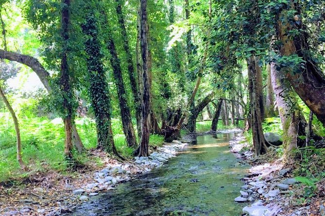 Explore Paphos Forest With E-Mountain Bikes - Frequently Asked Questions