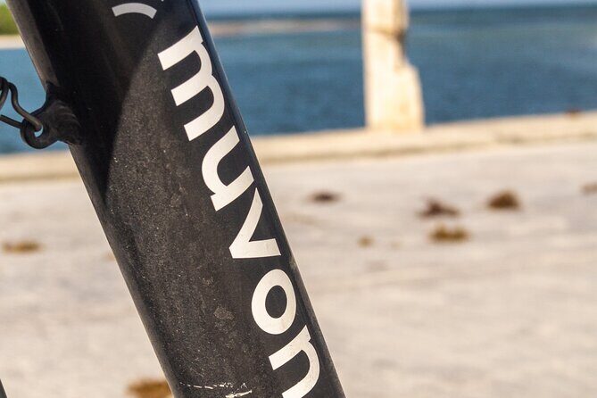 Explore Paradise on Wheels: Bike Rentals in Playa del Carmen - Who Should Consider This?  