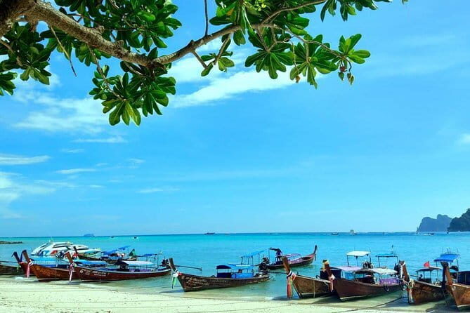 Explore Phi Phi Islands by Ferry  Snorkeling & Lunch Included - Lunch and Refreshments