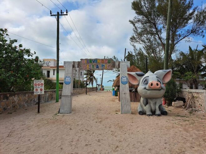 Explore Pig Beach, Corchito, Progreso & Isla Columpio - Essential Information and Requirements
