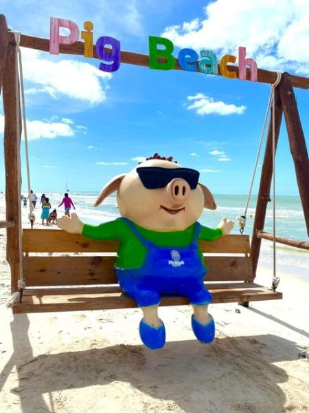 Explore Pig Beach, Corchito, Progreso & Isla Columpio - Cancellation and Refund Policy
