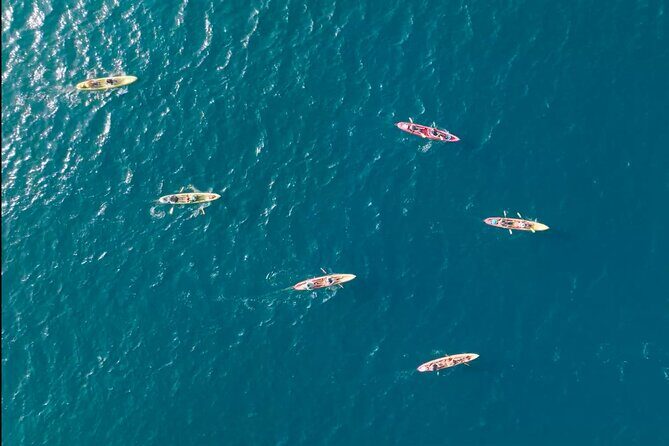 Explore Point Reyes by Sea Kayak - Exploring Point Reyes by Sea Kayak: An Authentic Coastal Adventure