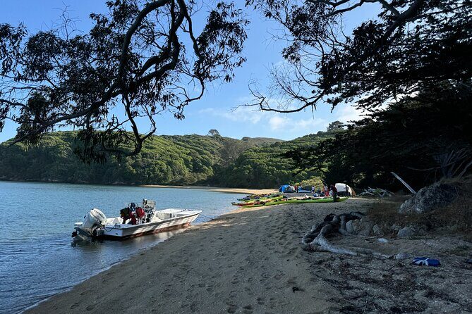Explore Point Reyes by Sea Kayak - Good To Know