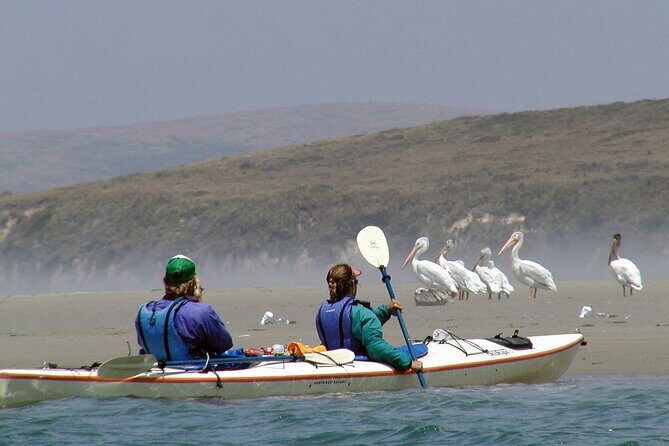 Explore Point Reyes by Sea Kayak - Final Thoughts: Is It Worth It?