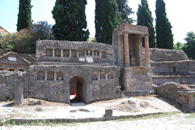 Explore Pompeiis Ruins With Your Private Archaeologist - Reviews Summary
