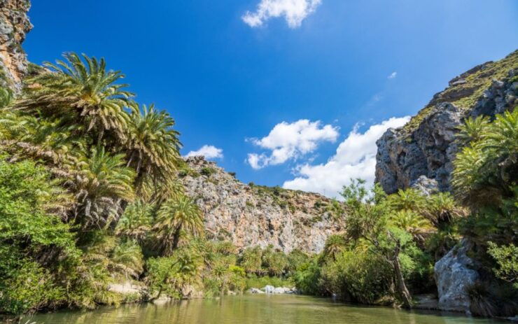 Explore Preveli Palms, Damnoni Beach & Historic Rethymno - Itinerary Highlights