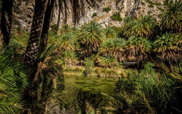Explore Preveli Palms, Damnoni Beach & Historic Rethymno - Directions