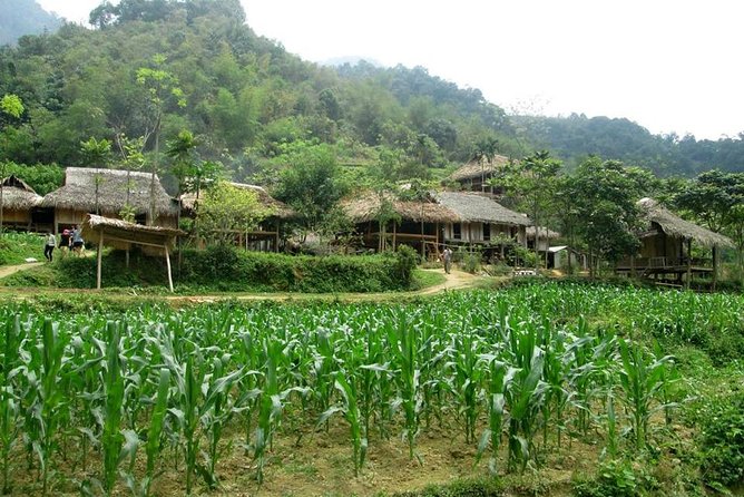 Explore Pu Luong Nature Reserve 2 Days 1 Night From Hanoi - Highlights of the 2-Day Trip