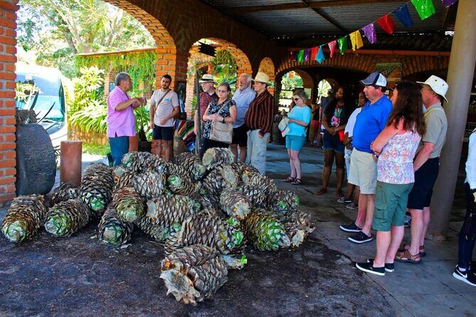 Explore Puerto Vallarta and Tequila Tasting - Who Should Consider This Tour?