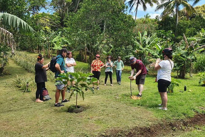 'Explore' Rarotonga Guided Bike Tour with Lunch and Swim - An In-Depth Look at the Rarotonga Bike Tour