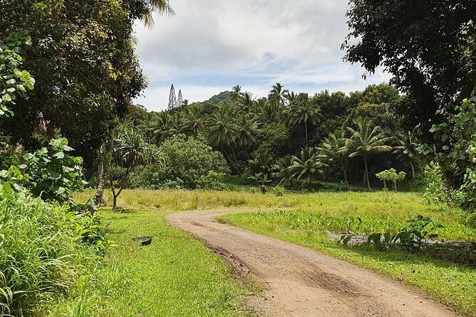 'Explore' Rarotonga Guided Bike Tour with Lunch and Swim - Final Thoughts: Is It Worth It?