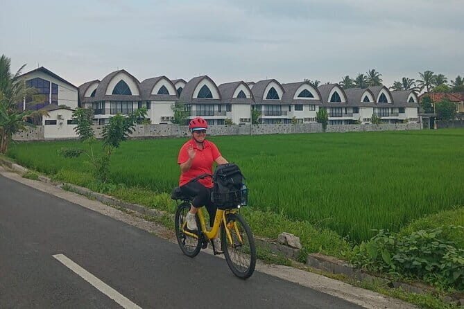 Explore Rice Fields and Hidden Villages with Ubud E-Bike Tour - The Itinerary in Detail