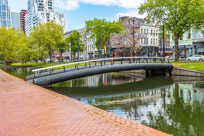 Explore Rotterdam'S Art and Culture With a Local - Directions
