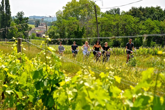 Explore Saint-Émilion on E-Bikes: Small Group, Full-Day Tour - Guide and Experience Feedback