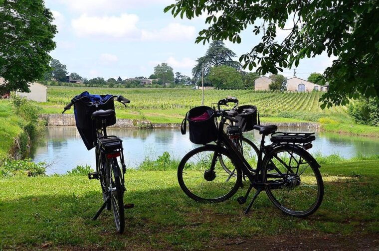 Explore Saint-Émilion on E-Bikes: Small Group, Half-Day Tour - Important Information