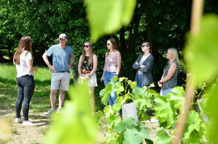 Explore Saint-Émilion on E-Bikes: Small Group, Half-Day Tour - What to Bring on the Tour