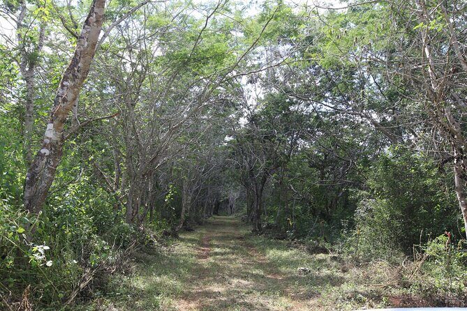 Explore Santa Bárbara Cenote Natural Wonders - The Sum Up: Who Benefits Most from This Experience