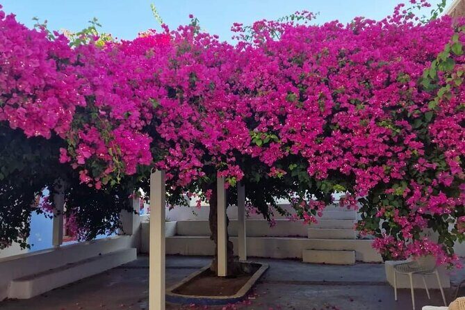 Explore Santorini in 3 hours With a Local Guide - FAQs