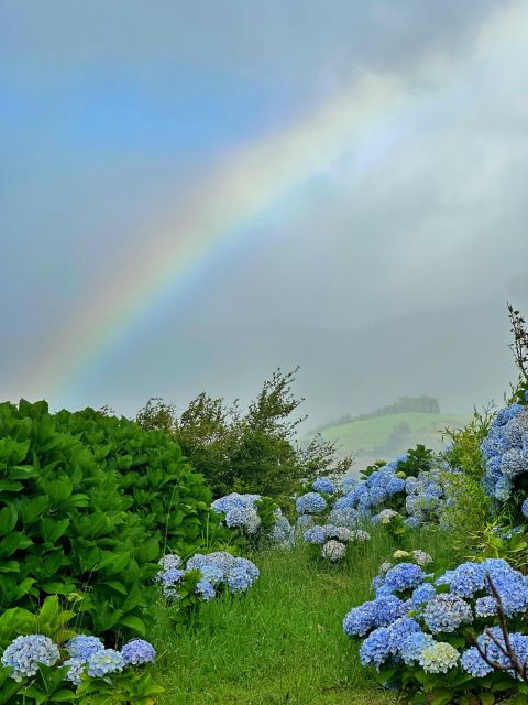Explore Sao Miguel - The Local Guide Secrets Tour - Tour Description