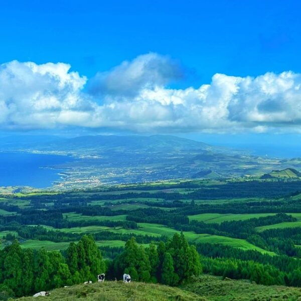Explore Sao Miguel - The Local Guide Secrets Tour - Frequently Asked Questions