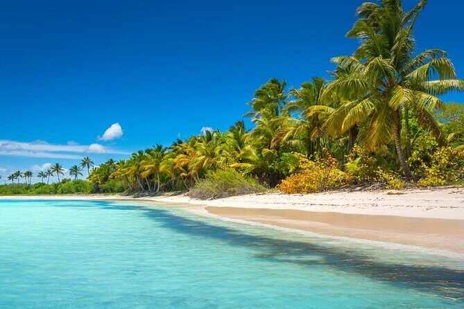 Explore Saona Island from Punta Cana Beaches Nature and Party - The Itinerary Breakdown