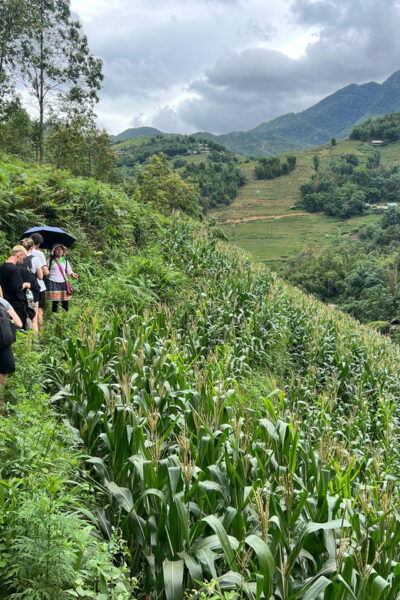 Explore Sapa by Trekkingadventures, Mountain,Rice Fields - Exclusions to Consider