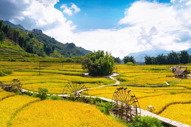 Explore Sapa on a 2 Days and 1 Night Trek - Practical Tips for Travelers