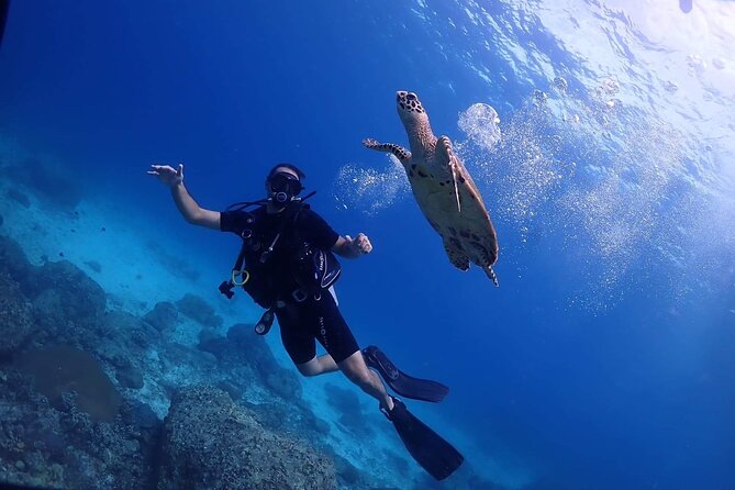 Explore Scuba Diving at Racha Yai Island From Phuket - Prestige - Good To Know