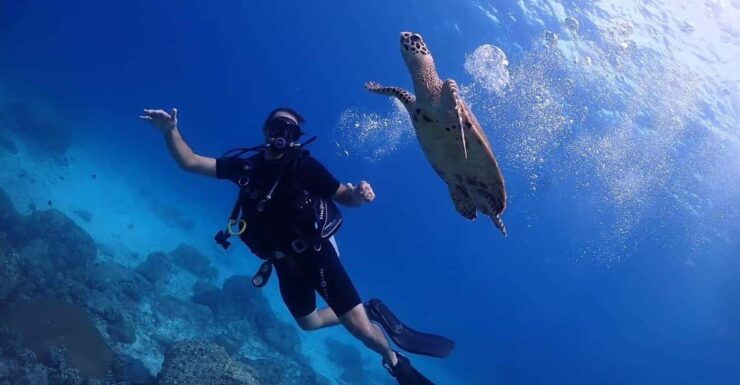 Explore Scuba Diving at Racha Yai Island From Phuket - Key Points
