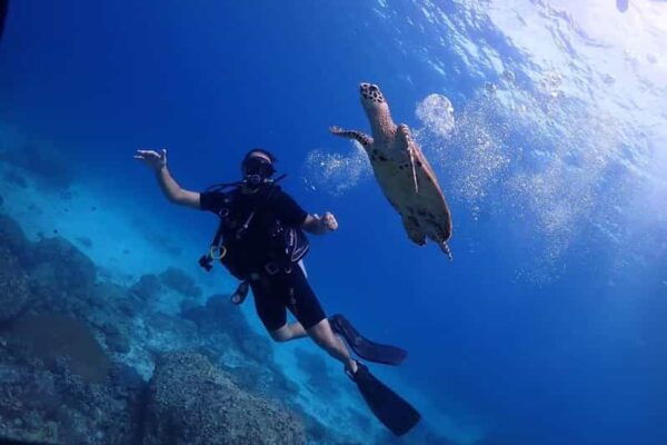 Explore Scuba Diving at Racha Yai Island From Phuket - Dining Experience