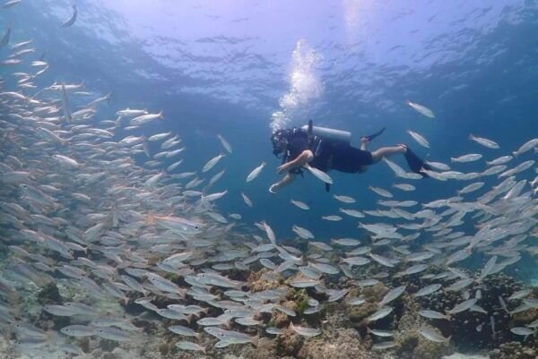 Explore Scuba Diving at Racha Yai Island From Phuket - Booking Information