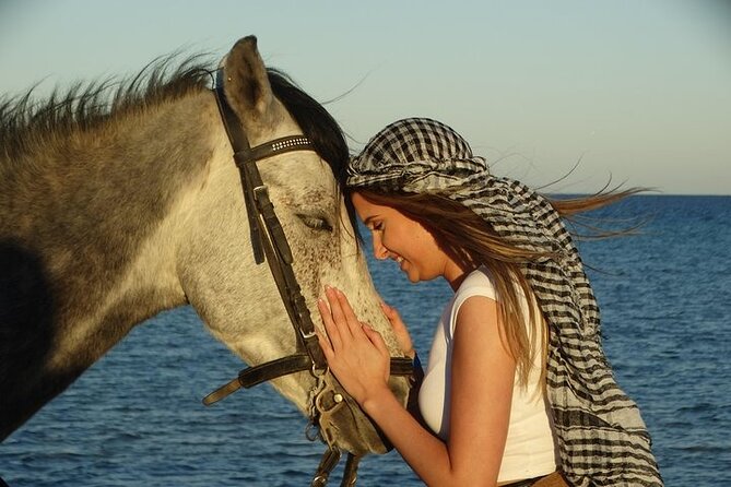Explore Sea & Desert on Horseback in Hurghada - Good To Know