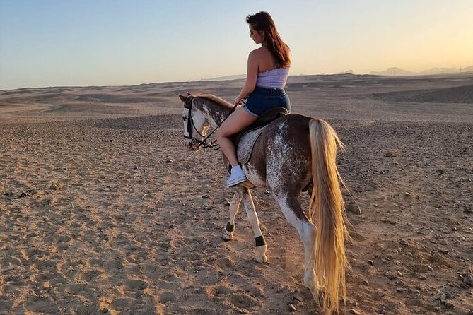 Explore Sea & Desert on Horseback in Hurghada - Tour Details and Recommendations
