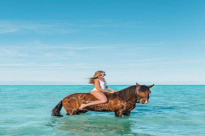 Explore Sea & Desert on Horseback in Hurghada - Operator and Pricing Information