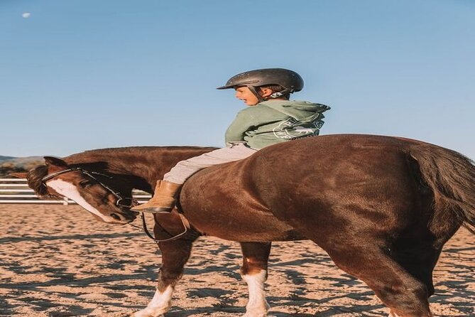 Explore Sea & Desert on Horseback in Hurghada - Cancellation Policy and Guarantees