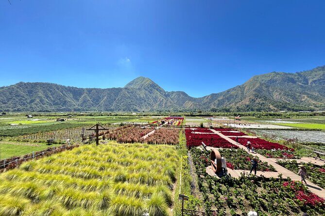 Explore Sendang Gile, Tiu Kelep Waterfall and Selong Hill - Practical Details and What to Expect