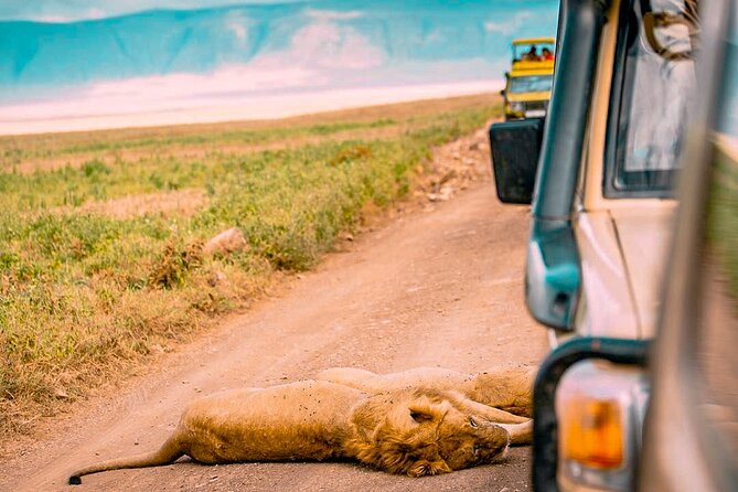 Explore Serengeti 5 Days 4 Nights - Booking Information