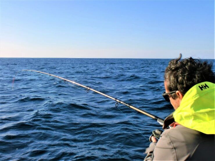 Explore Sesimbra: Sport Fishing All Inclusive Half-Day Trip - Activity Details