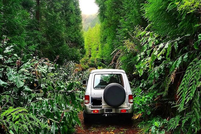 Explore Sete Cidades - Nature Lovers Jeep Tour - Tour Description