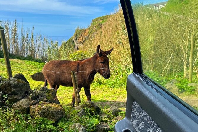 Explore Sete Cidades - Nature Lovers Jeep Tour - Pricing and Reviews