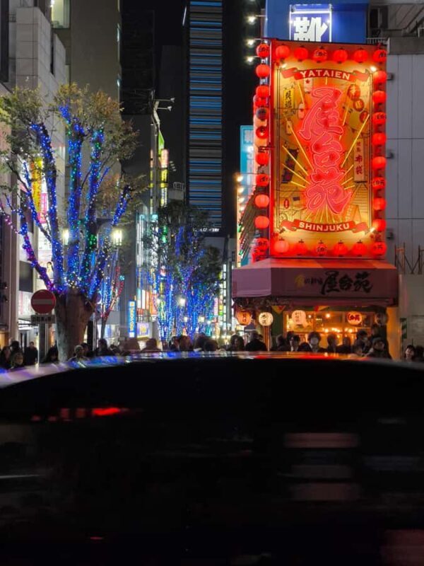 Explore Shinjuku's breathtaking views and entertainment districts - Starting Point and Transportation